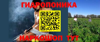PSILOCYBIN Кулебаки