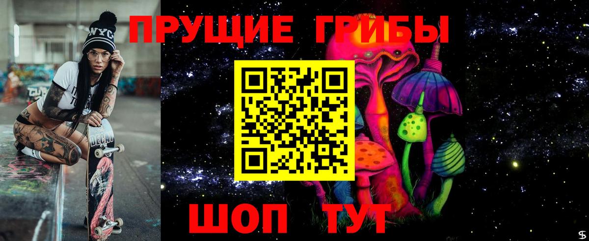 Галлюциногенные грибы MAGIC MUSHROOMS  Вход с VPN  Кизляр 