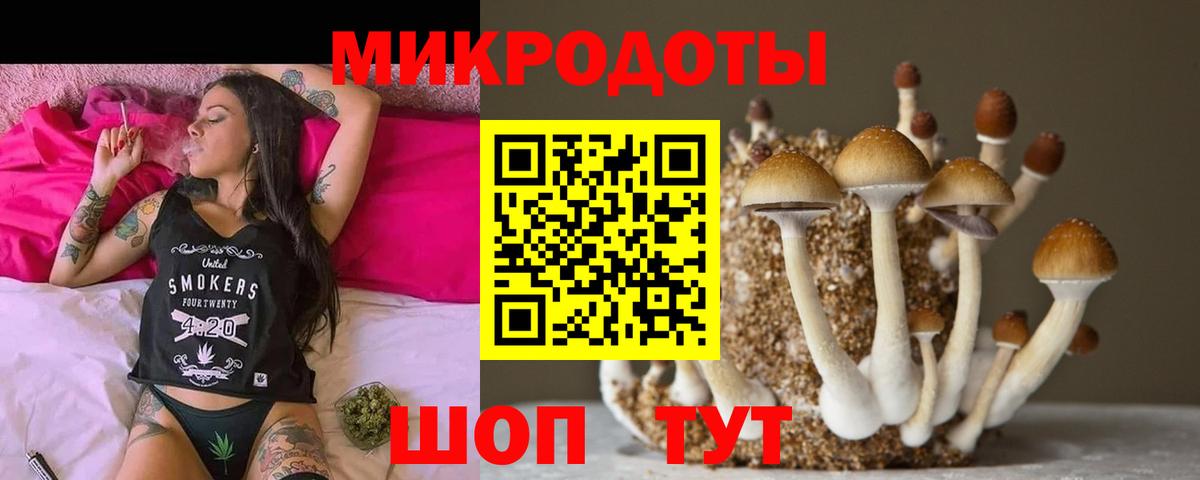 Псилоцибиновые грибы Cubensis Кизляр
